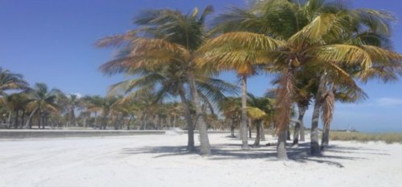 appartement a louer floride,logement miami,maison vendre floride,acheter maison miami,condos miami beach,foreclosures florida,vente appartement miami,vente appartement floride,villa a miami a vendre,floride maison a vendre,acheter une maison à miami,appartement a louer a miami,louer appartement miami,investir floride,condo en floride a vendre,louer maison floride,maisons à vendre en floride,achat maison en floride,appartement a vendre floride,investissement floride,achat villa floride,villa en floride a vendre,villa a vendre a miami,achat floride,acheter appartement floride,miami south,appartement miami location,mls immobilier floride,investir miami,realtor immobilier,location maison floride plage,appartement a vendre en floride,vente maison miami,condos à vendre floride,maison floride a vendre,villa a vendre en floride,realtor miami beach,appartements miami,achat villa miami,miami maison a vendre,achat immobilier miami,location appart miami,appart miami,floride a vendre,miami foreclosure,maison en floride a vendre,realtors florida,vente villa floride,achat miami,se loger à miami,achat immobilier en floride,agent immobilier en floride,mls miami beach,location appartement a miami,acheter villa miami,